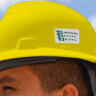 Cascos de ala completa