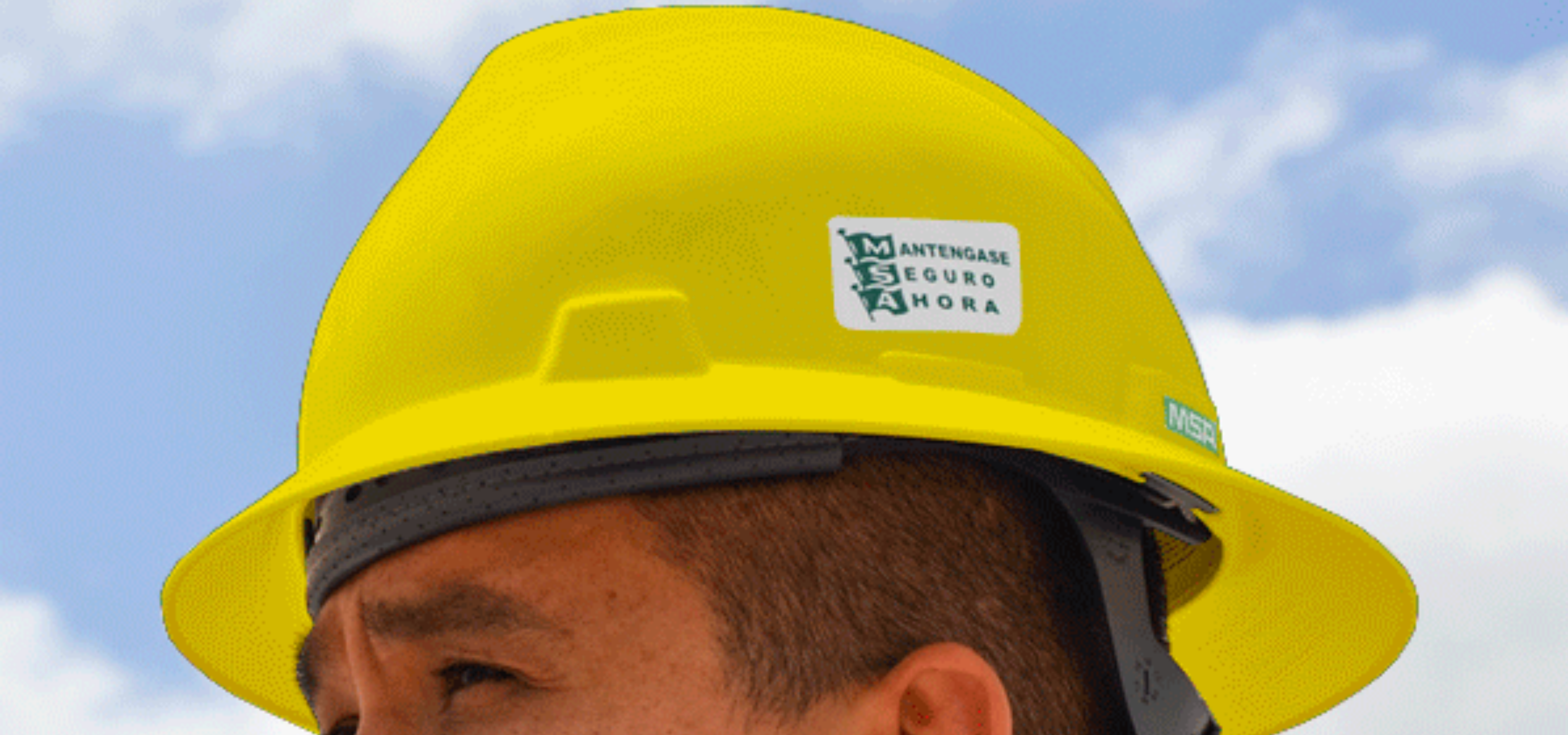 Cascos de ala completa
